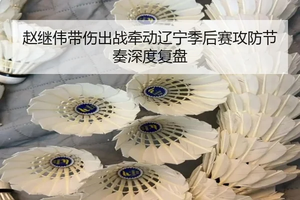 赵继伟带伤出战牵动辽宁季后赛攻防节奏深度复盘